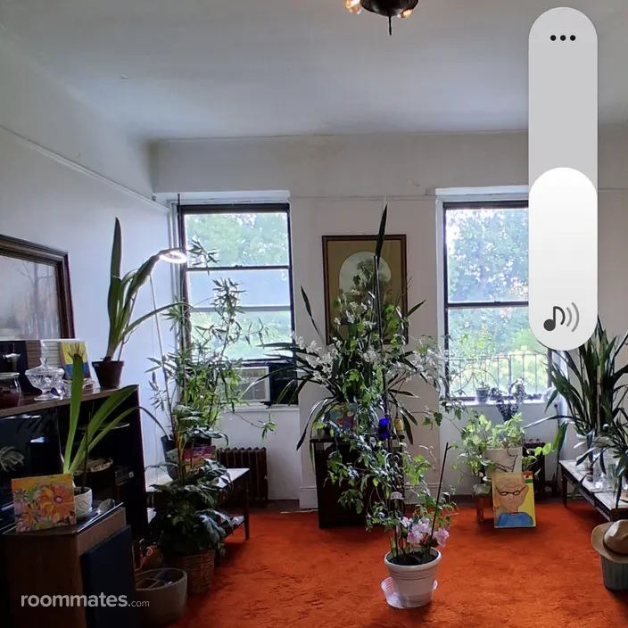 Room for rent in New York, NY $500, apartment