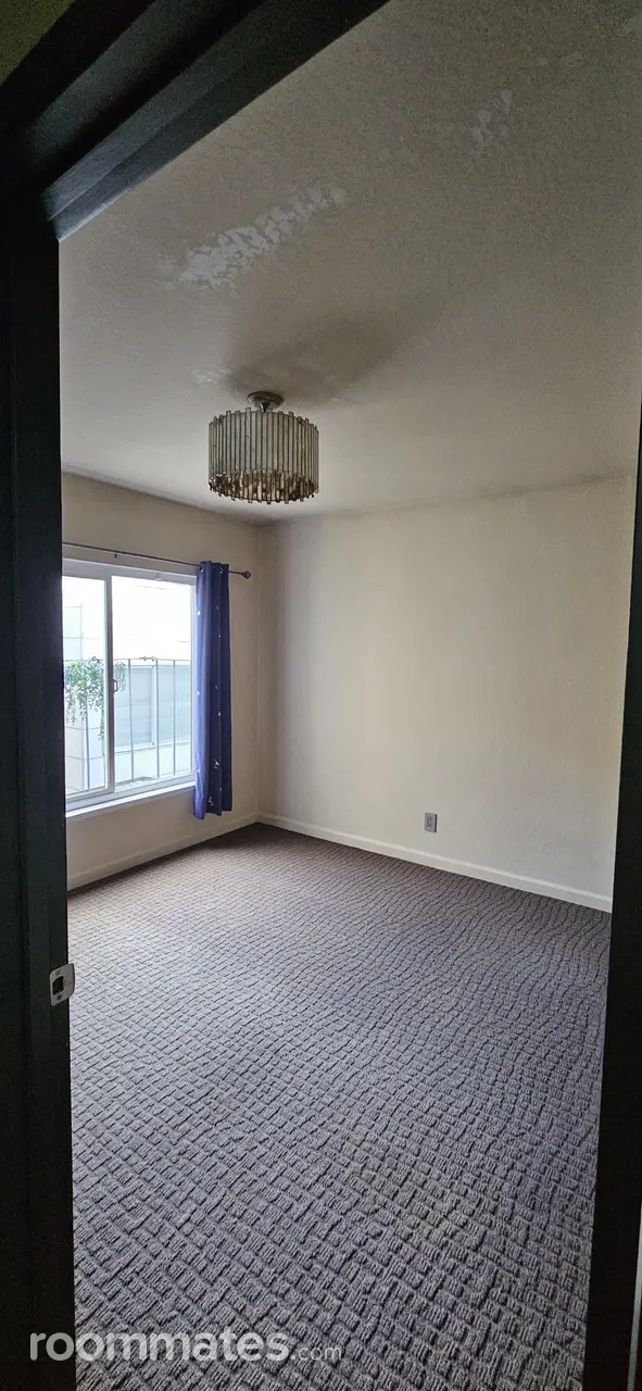 Profile photo 1 of 11