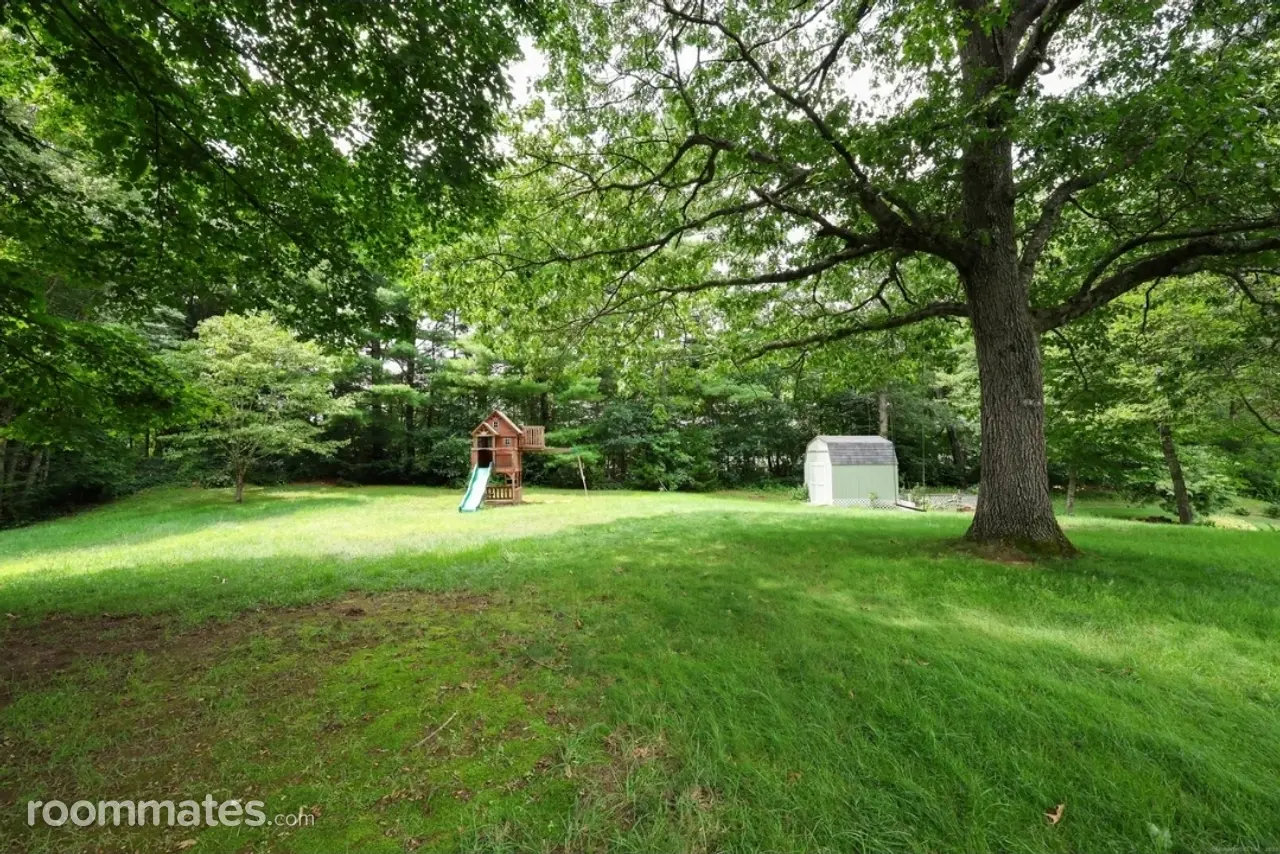 Profile photo 1 of 6