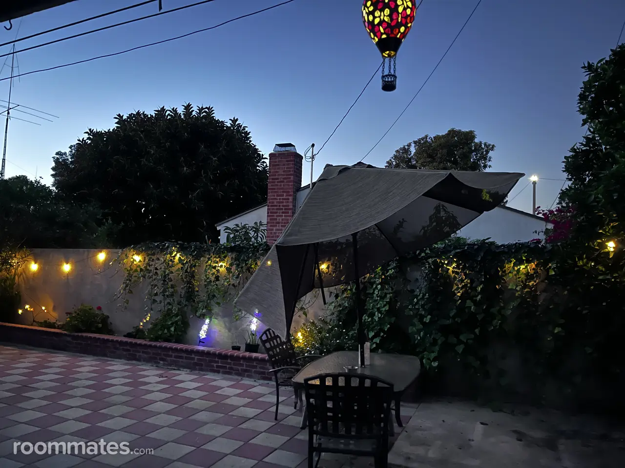 Profile photo 9 of 12