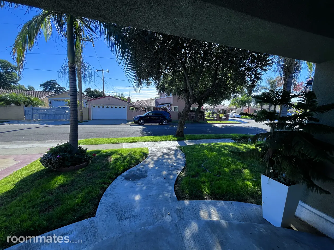 Profile photo 3 of 12