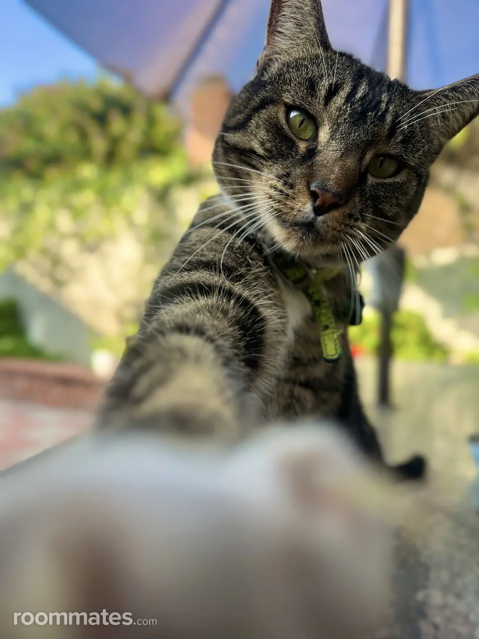 Profile photo 11 of 12