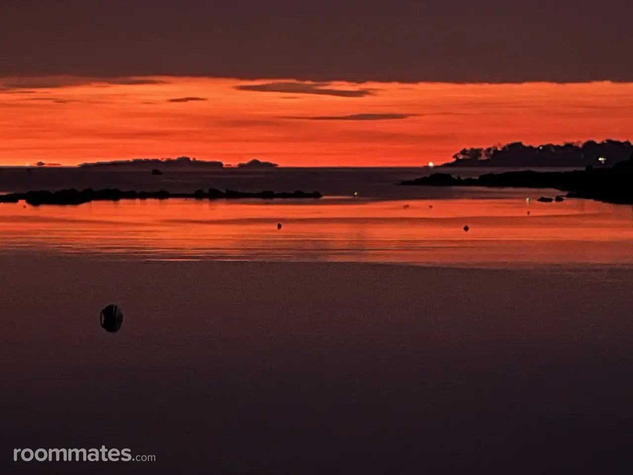 Profile photo 4 of 9