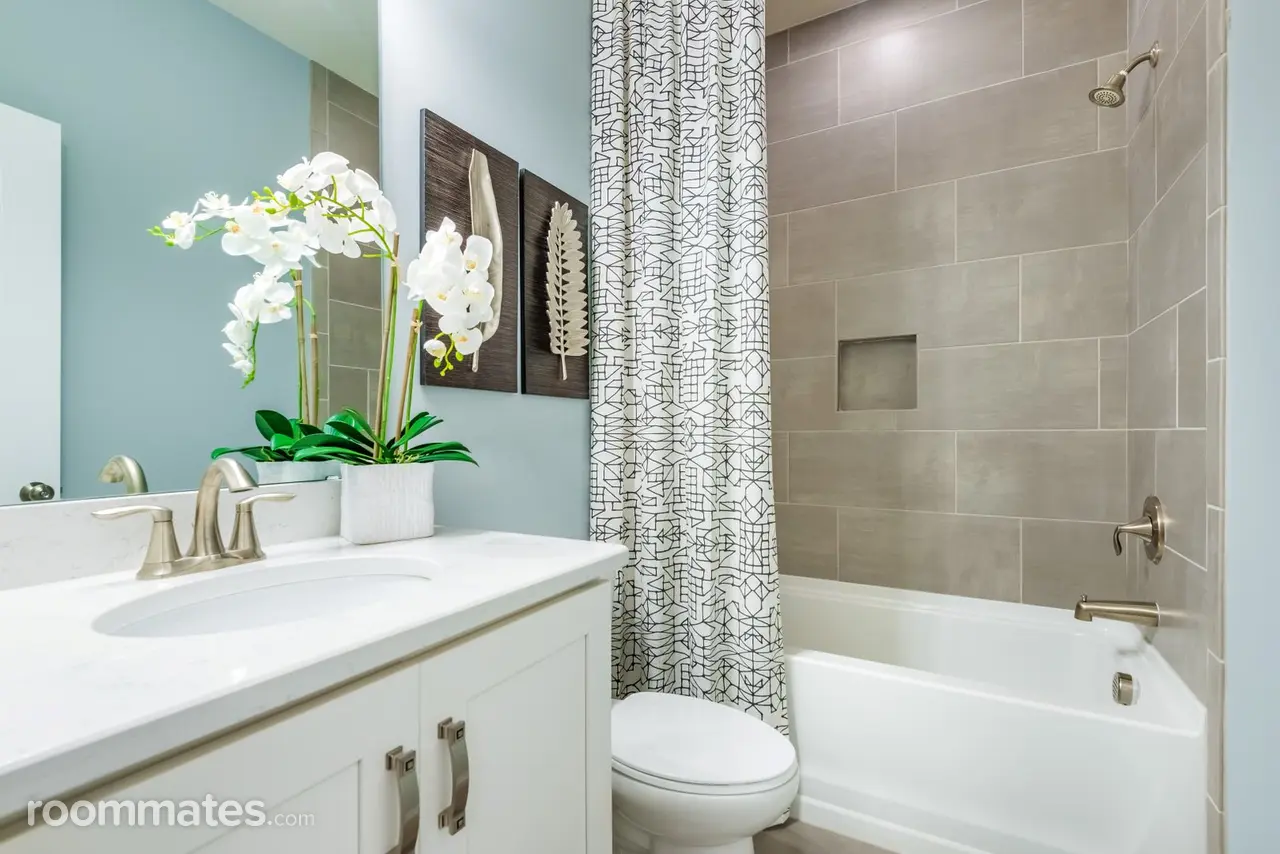 Profile photo 10 of 11