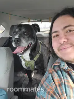 Roommate looking Minneapolis, MN, $700