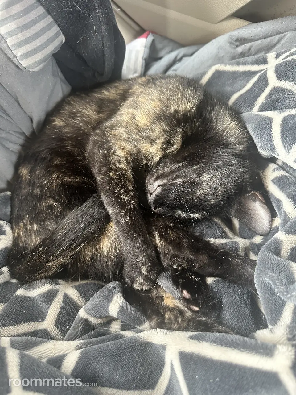 Profile photo 4 of 4