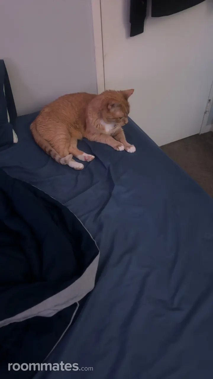 Profile photo 2 of 4