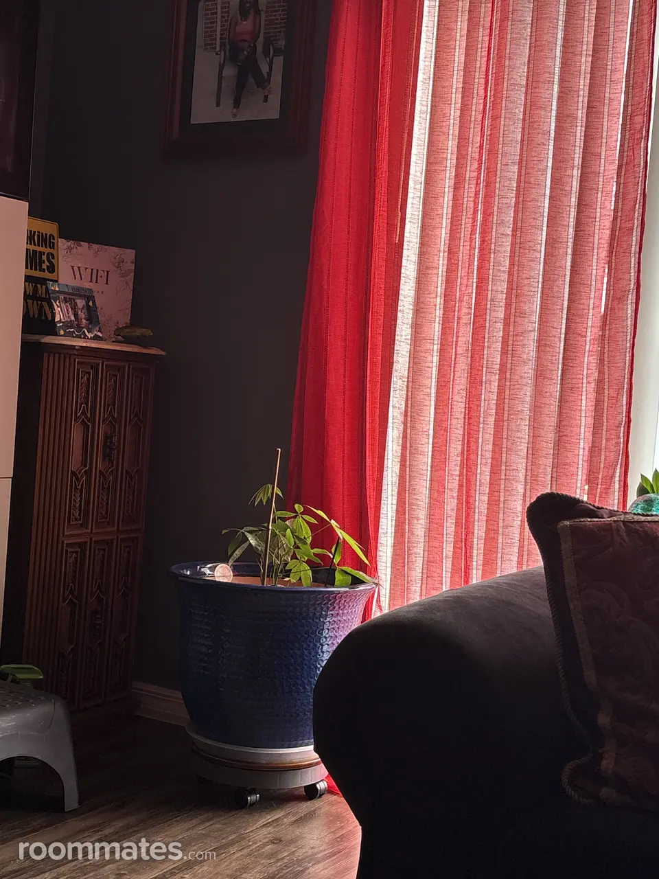 Profile photo 1 of 2