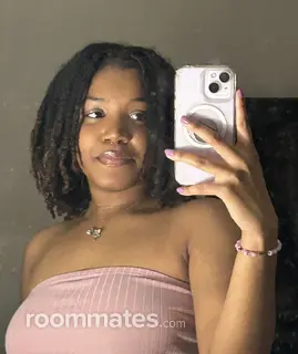 Roommate looking Detroit, MI, $800