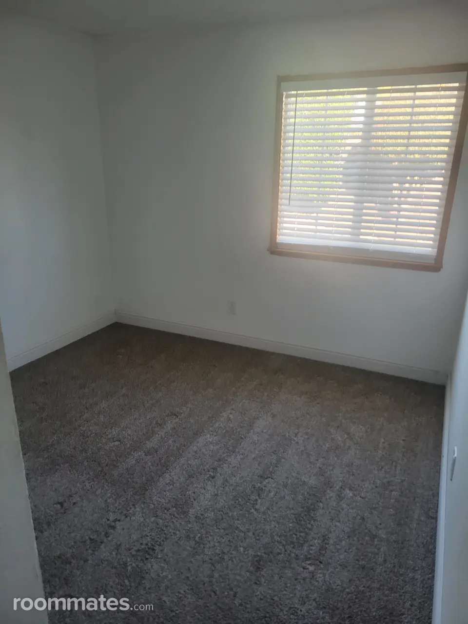 Profile photo 4 of 4