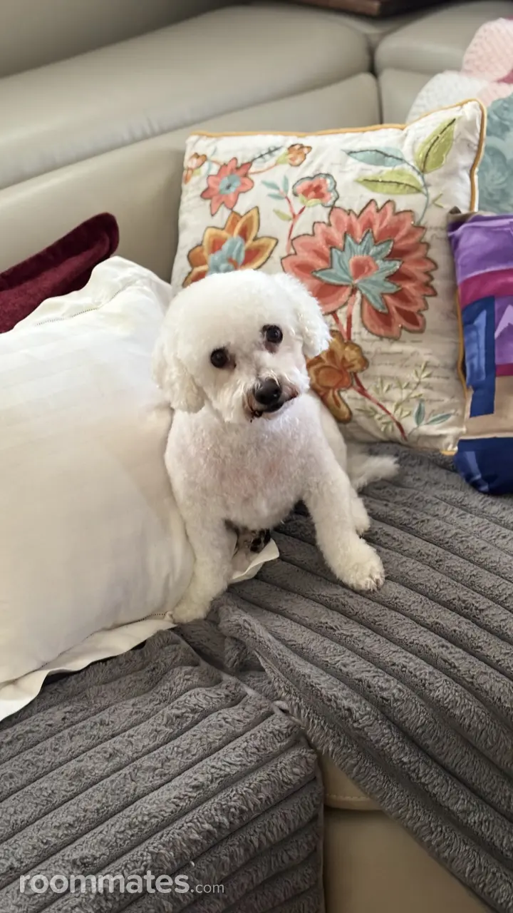 Profile photo 7 of 7