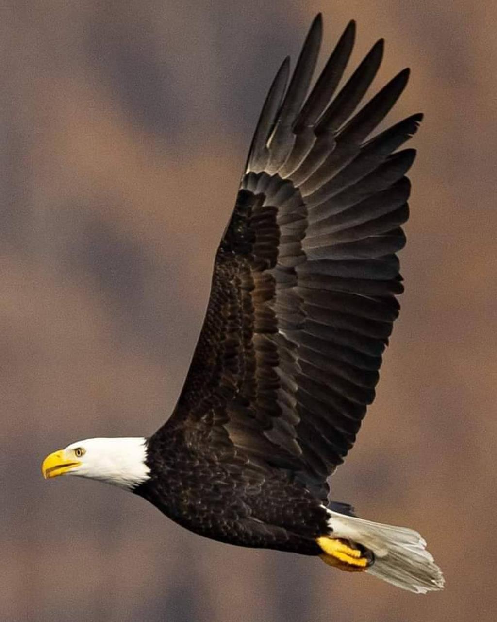 Profile photo 3 of 3