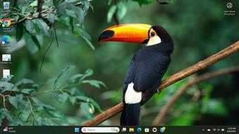 Roommate looking Eden Prairie, MN, $1300