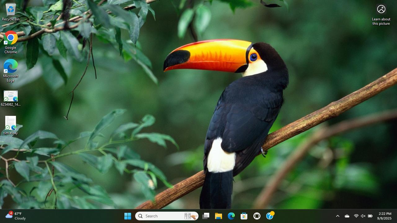 Profile photo 1 of 1