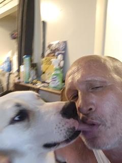 Roommate looking Savannah, GA, $1000