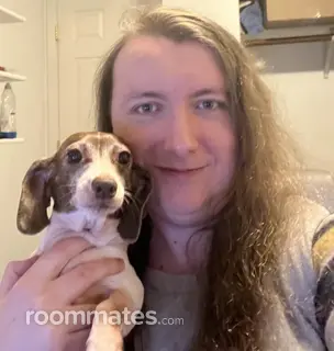 Roommate looking Kent, WA, $1000