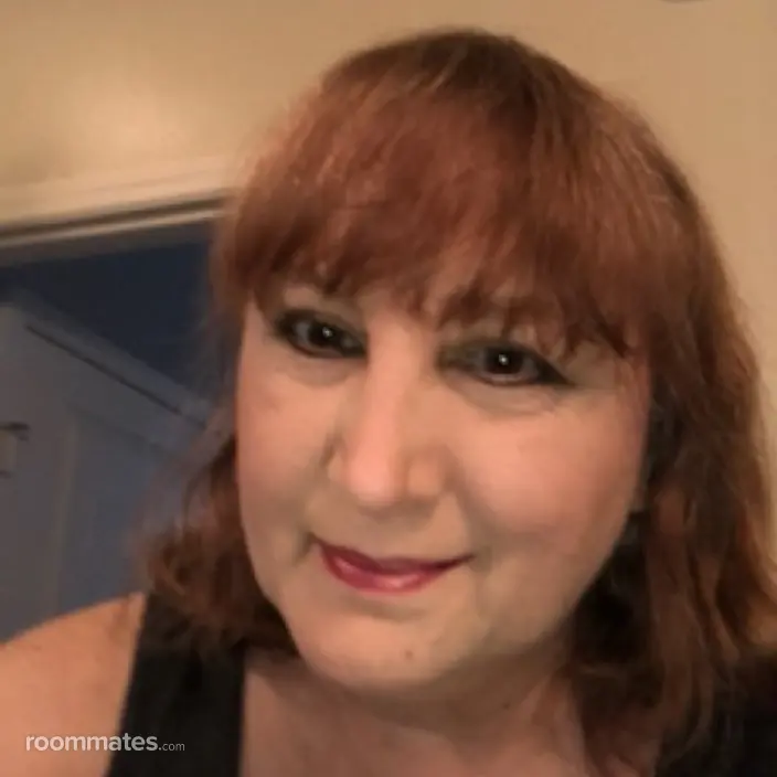 Roommate looking Flower Mound, TX, $800