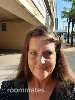 Roommate looking Birmingham, AL, $500