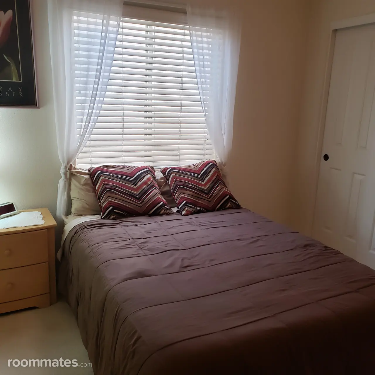 Profile photo 2 of 12