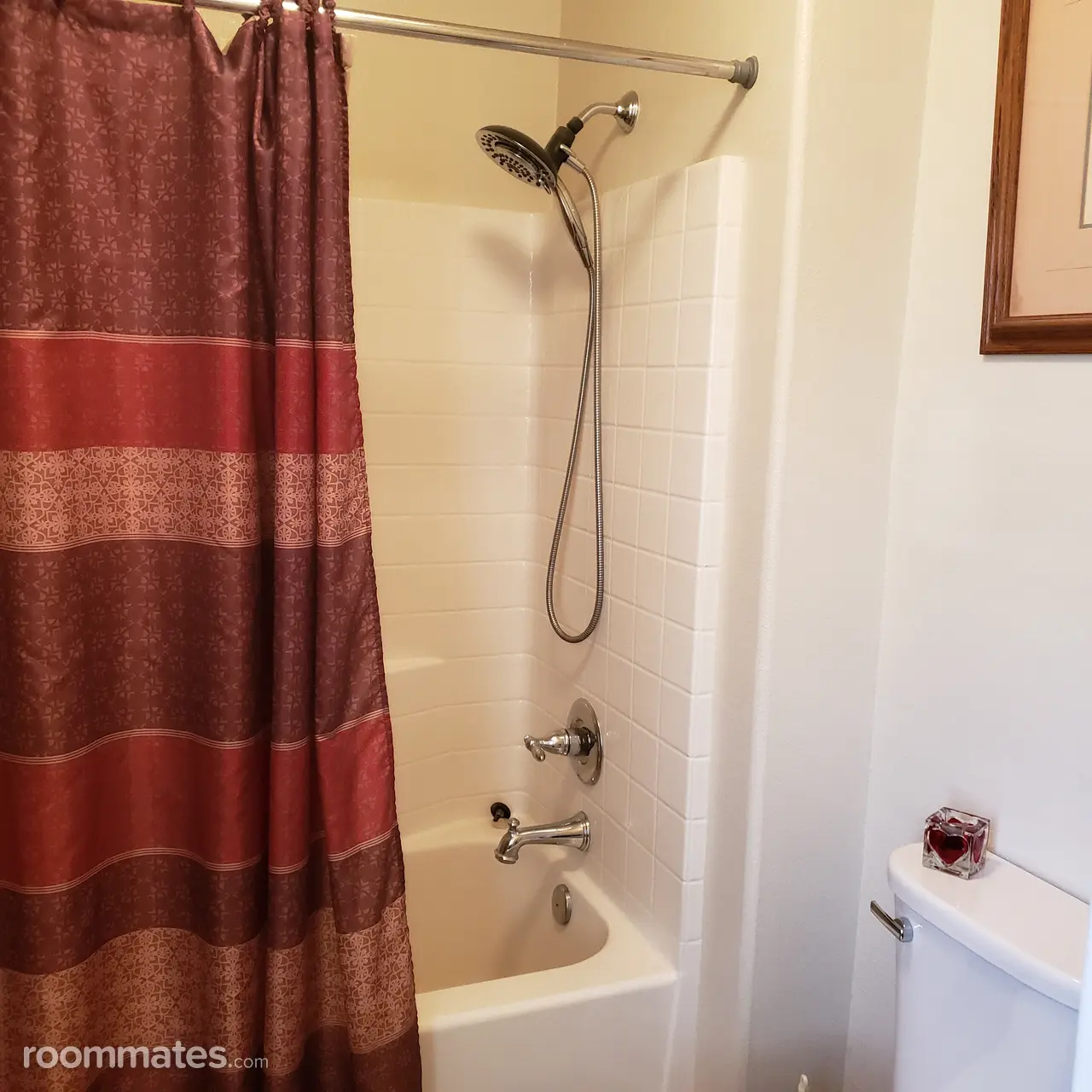 Profile photo 9 of 12