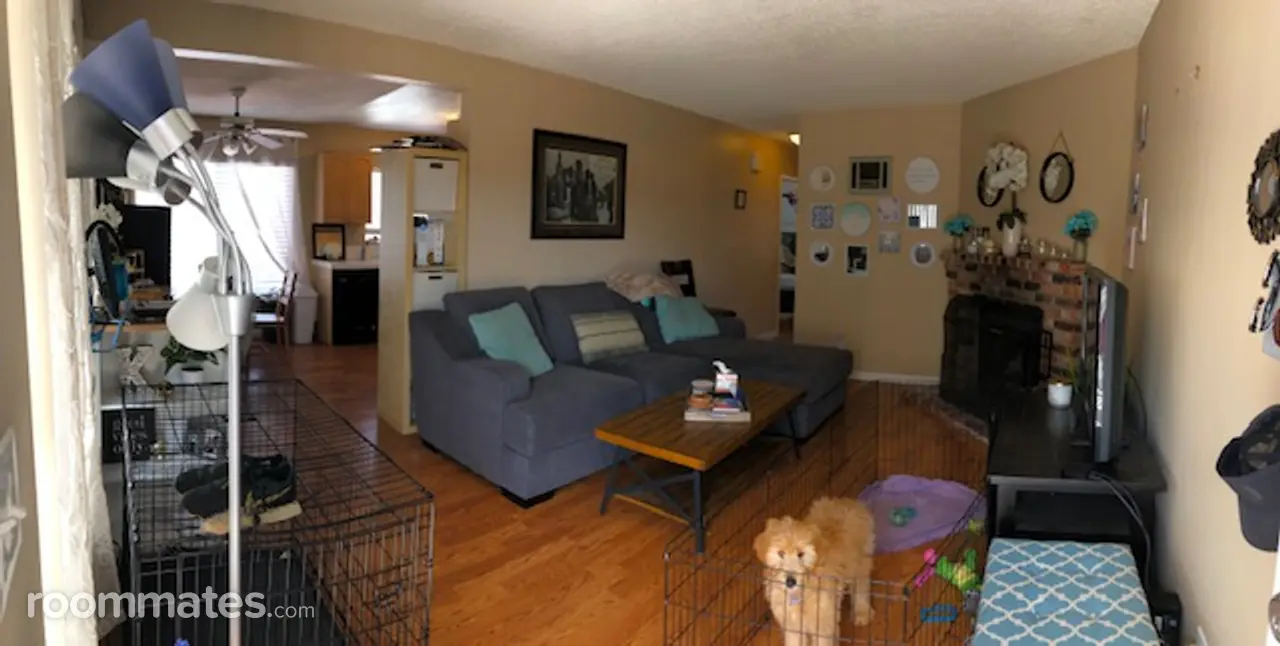 Profile photo 2 of 10