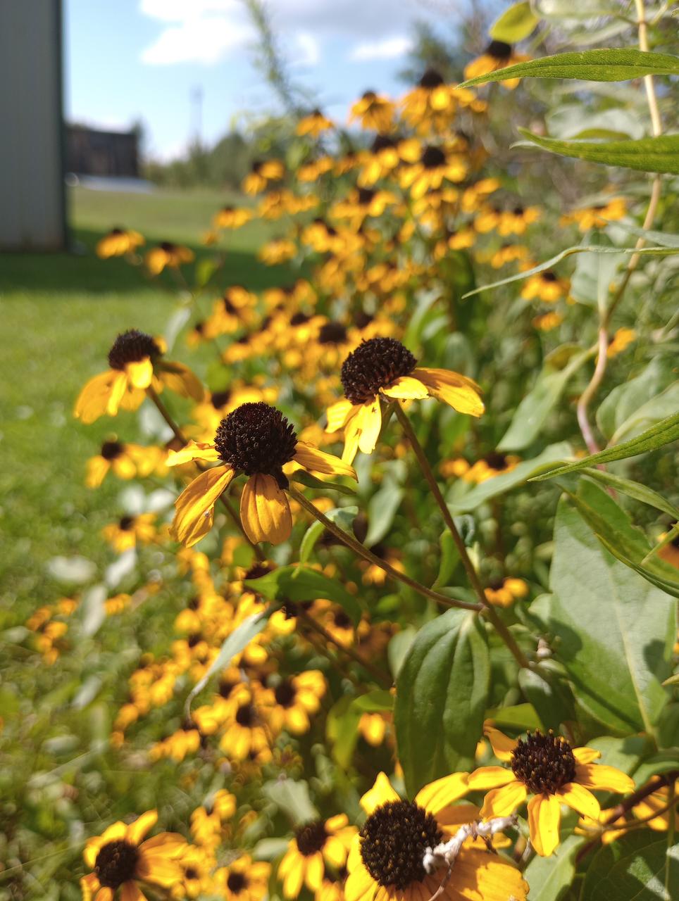 Profile photo 2 of 2