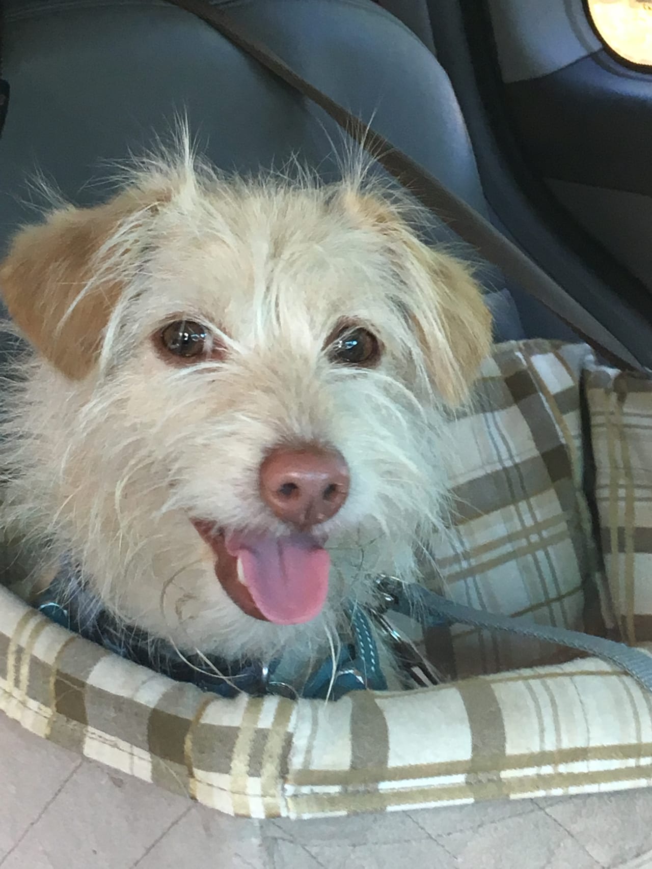 Profile photo 10 of 13