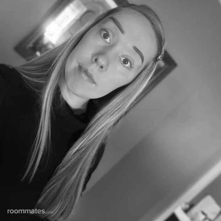 Roommate looking Maple Grove, MN, $1000