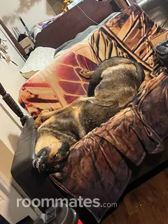 Room for rent in Ellenwood, GA $500, house