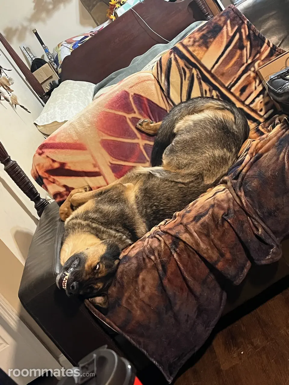 Profile photo 1 of 11