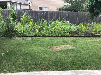 Room for rent in Austin, TX $650, house