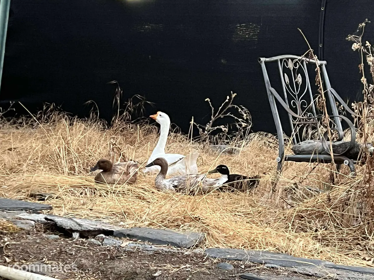 Profile photo 10 of 21