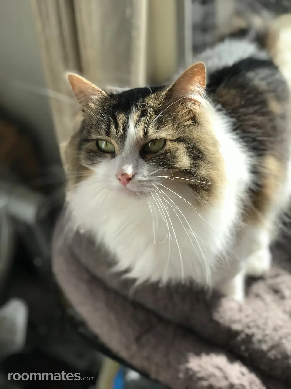 Profile photo 9 of 21