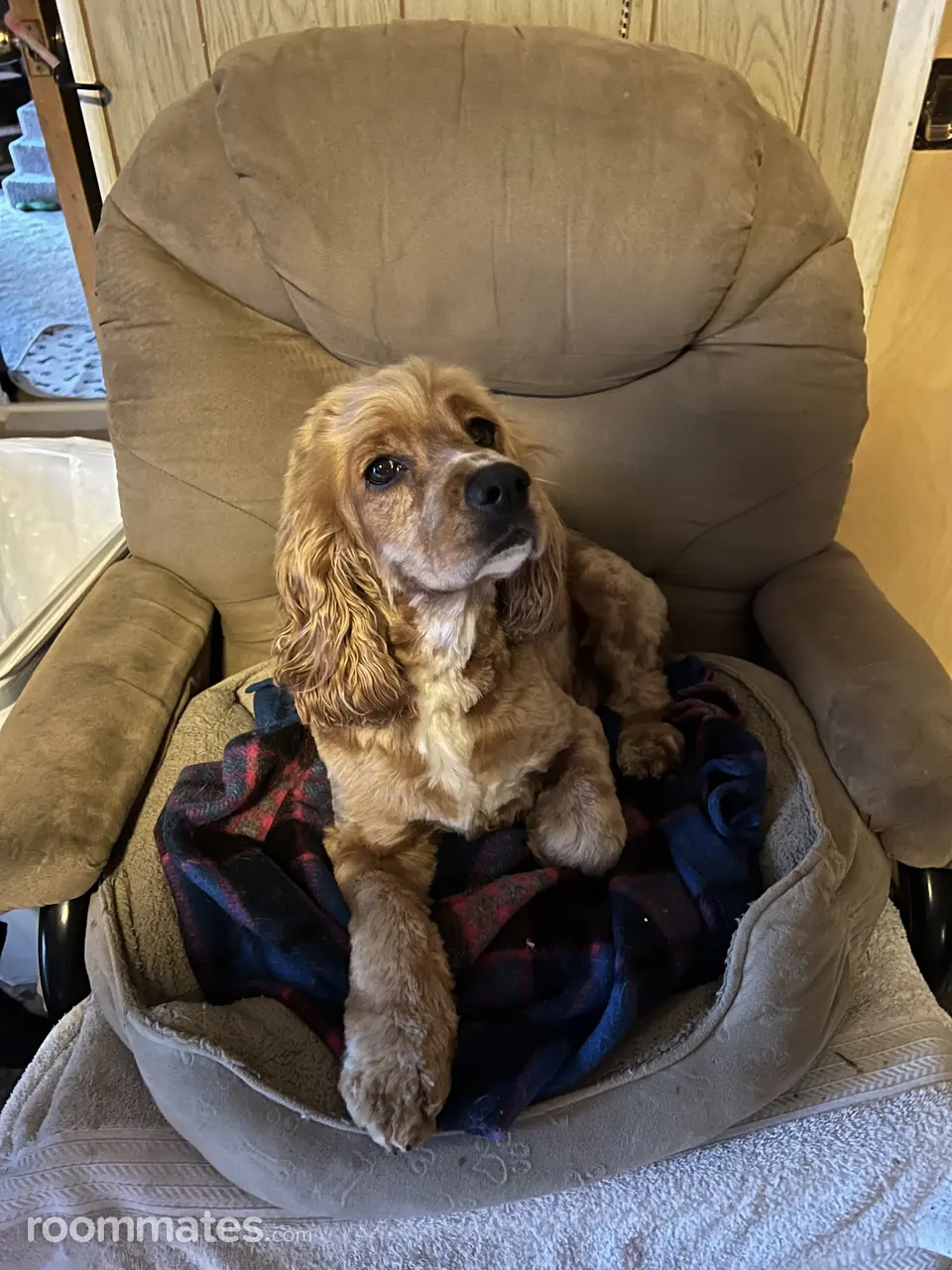 Profile photo 5 of 21