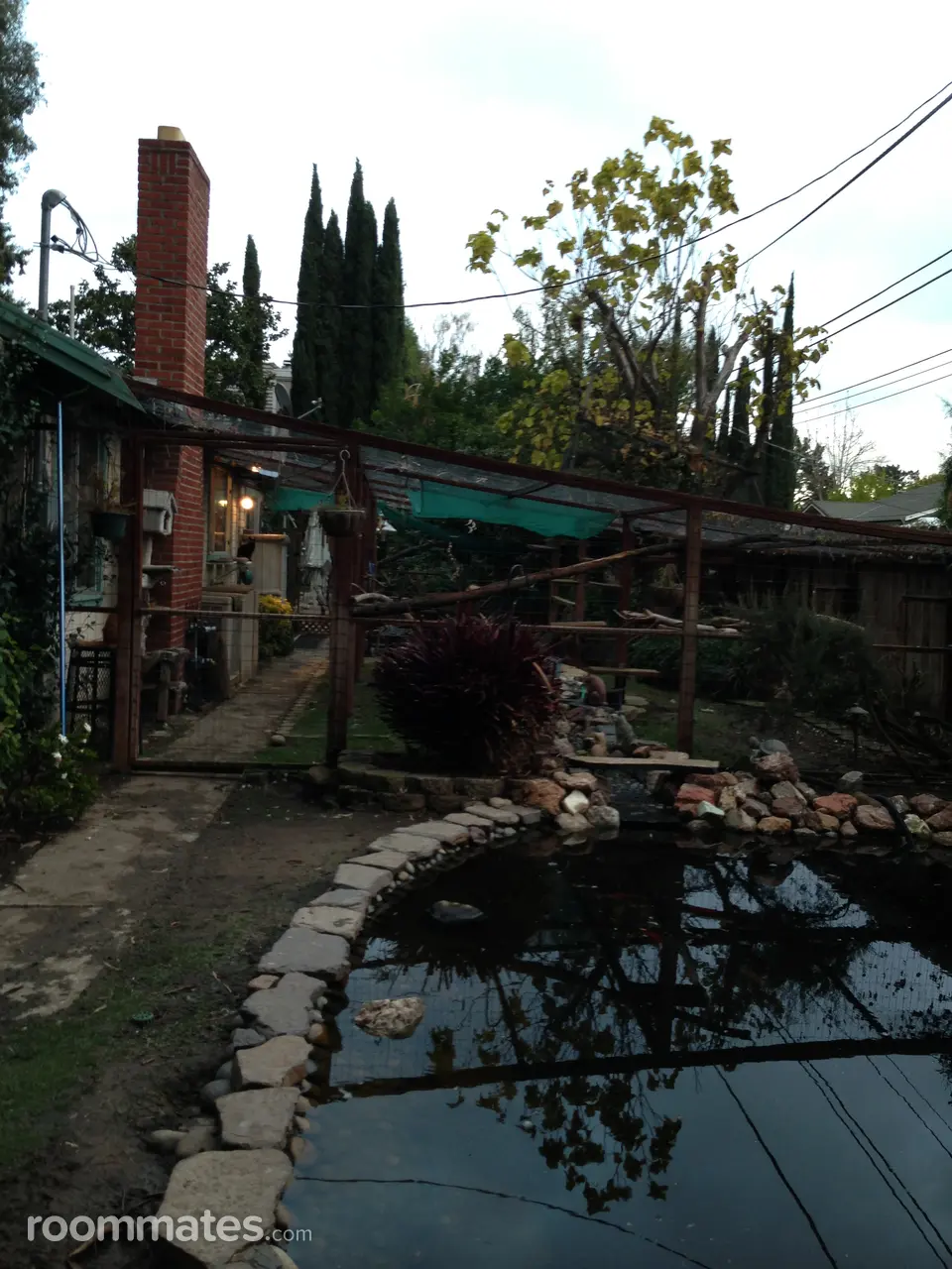 Profile photo 8 of 21