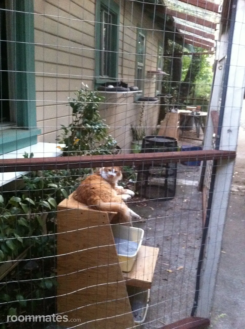 Profile photo 7 of 21