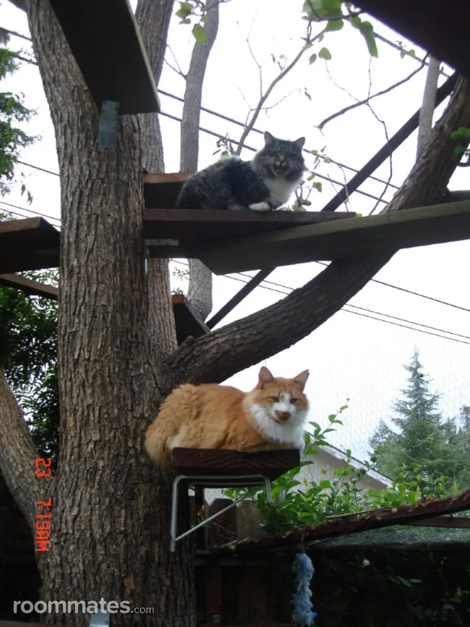 Profile photo 6 of 21