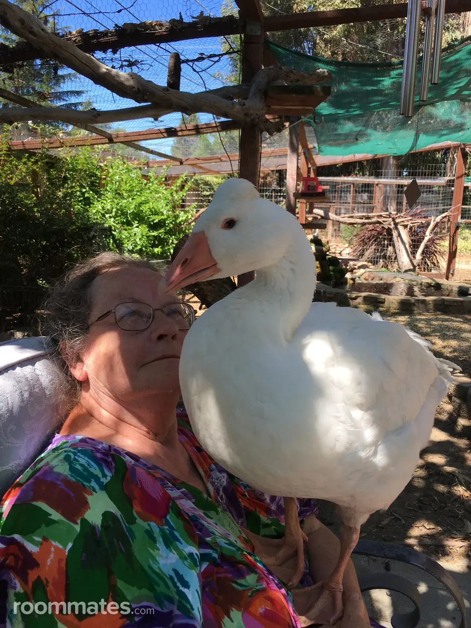 Profile photo 15 of 21