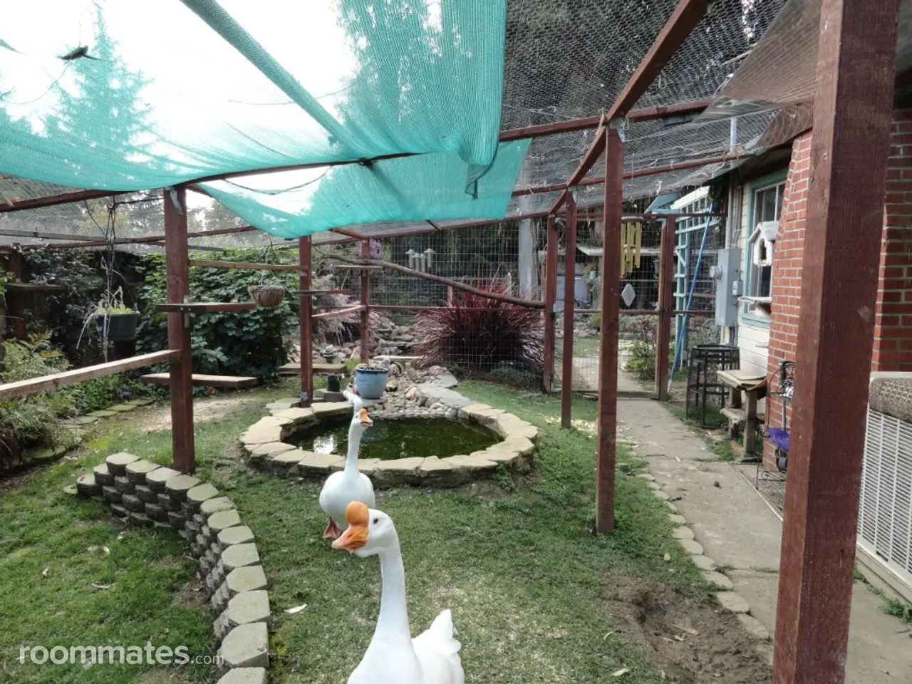 Profile photo 16 of 21