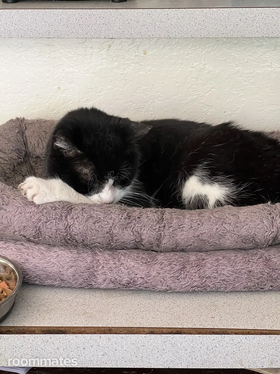 Profile photo 20 of 21