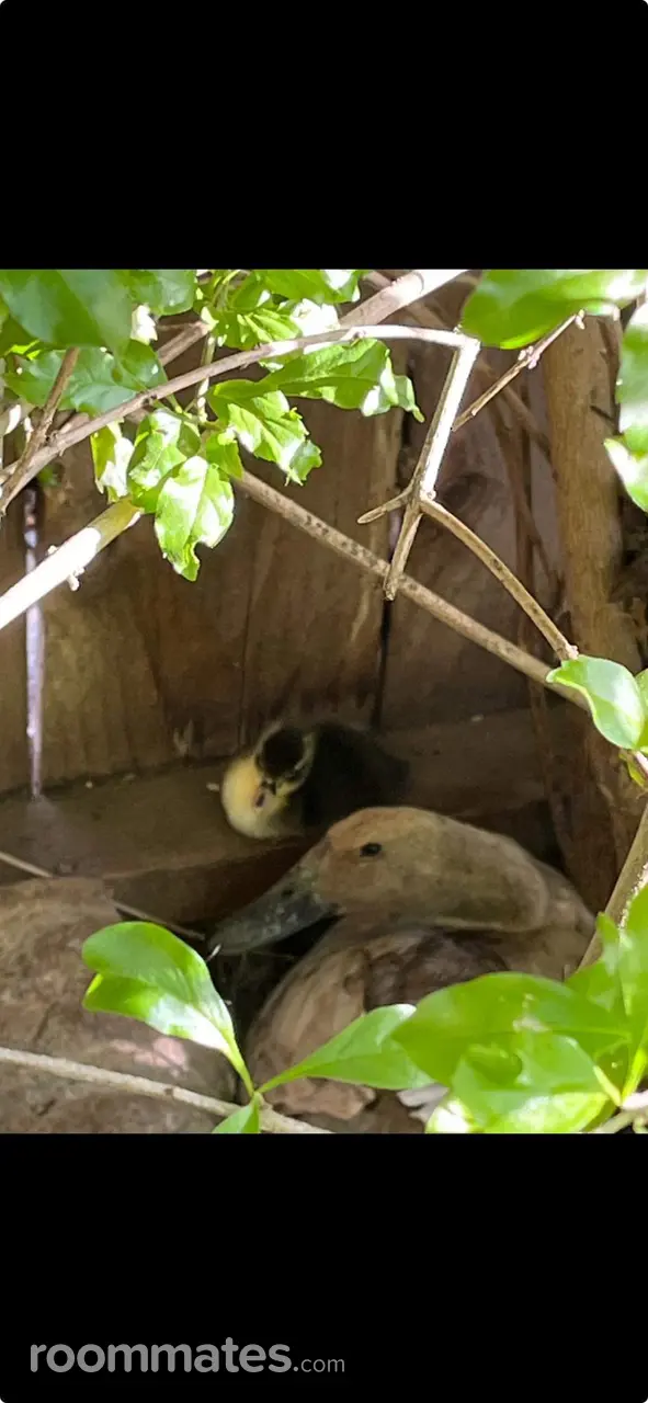 Profile photo 17 of 21