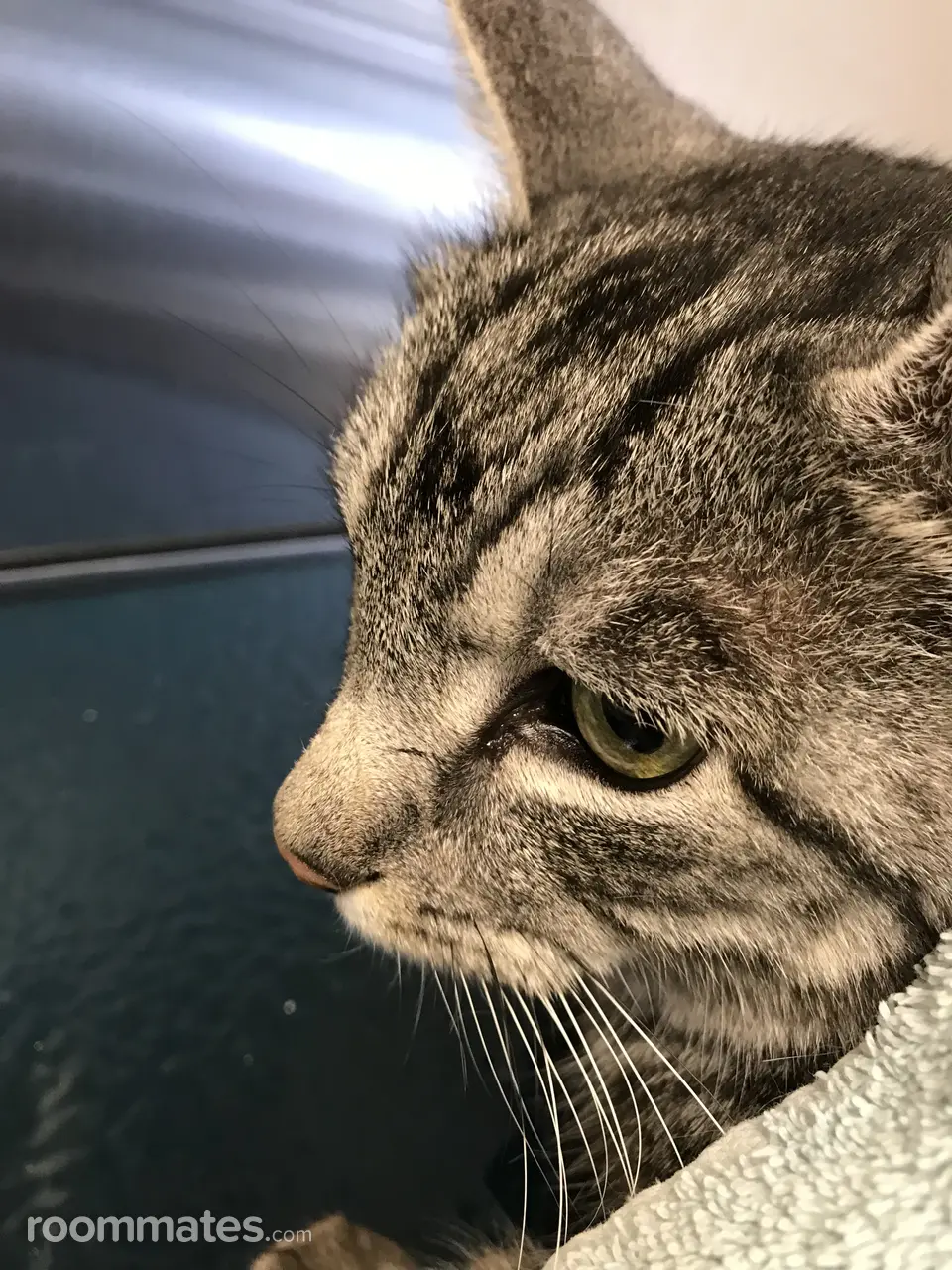 Profile photo 19 of 21