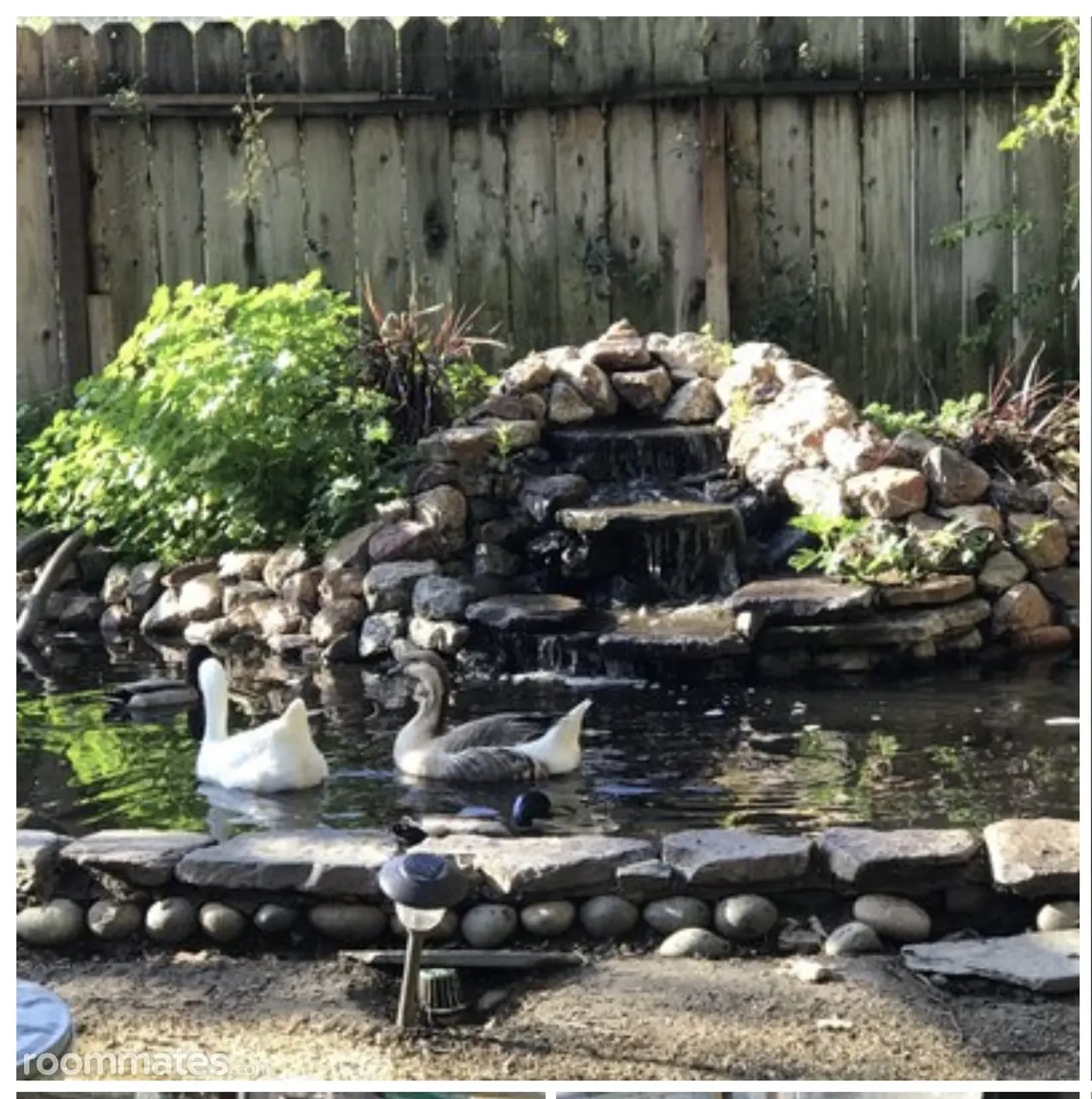 Profile photo 18 of 21