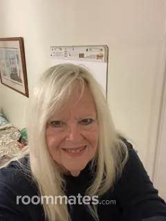 Roommate looking Tampa, FL, $900