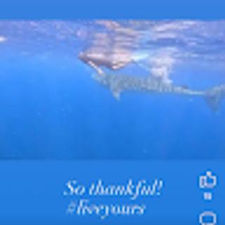 Room for rent in Meridian, ID $900, house