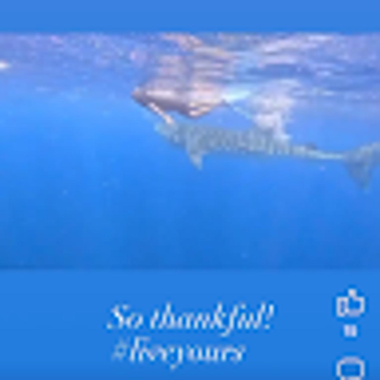 Profile photo 1 of 1