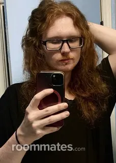 Roommate looking Mesa, AZ, $700