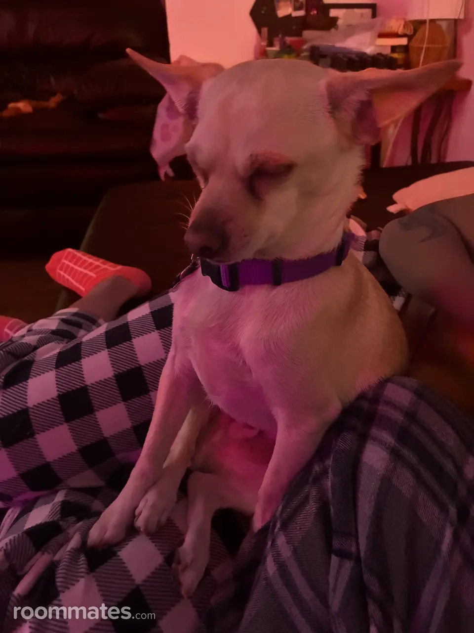 Profile photo 2 of 2