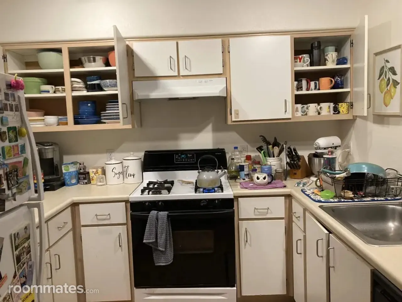 Profile photo 9 of 16