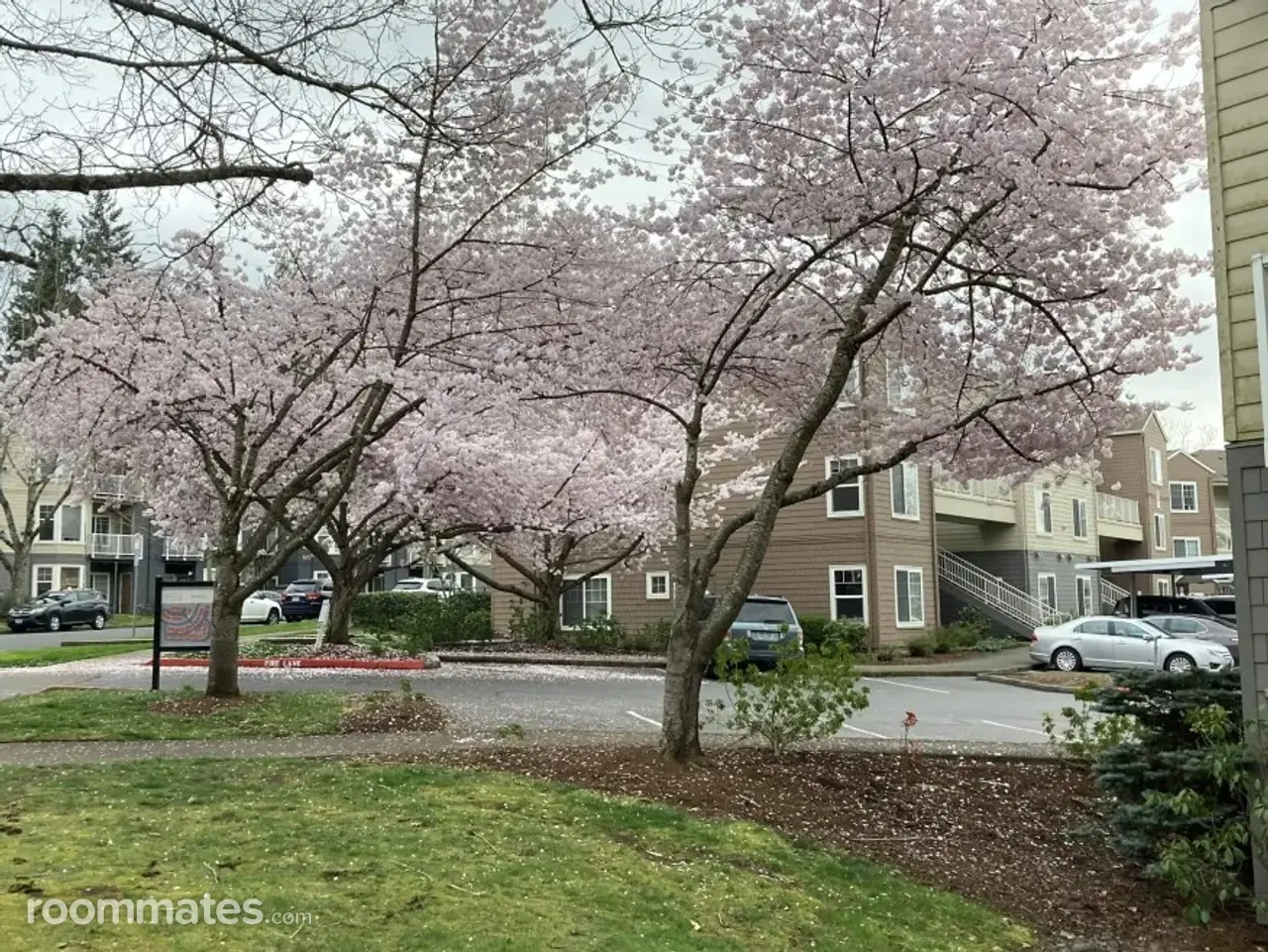 Profile photo 2 of 16